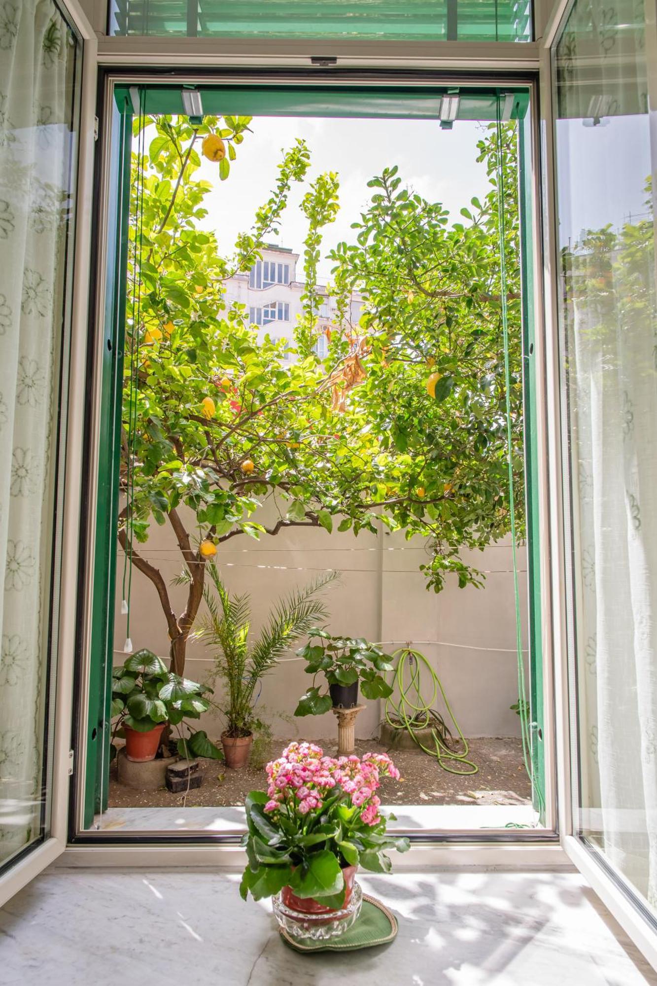 Apartment Residenza Falcone, 36 *